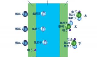 水的别名是什么